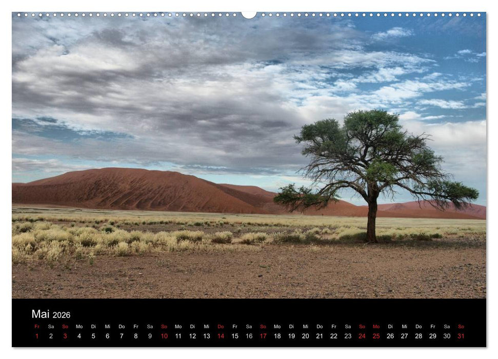 Wüstenzauber Namibia (CALVENDO Premium Wandkalender 2026)