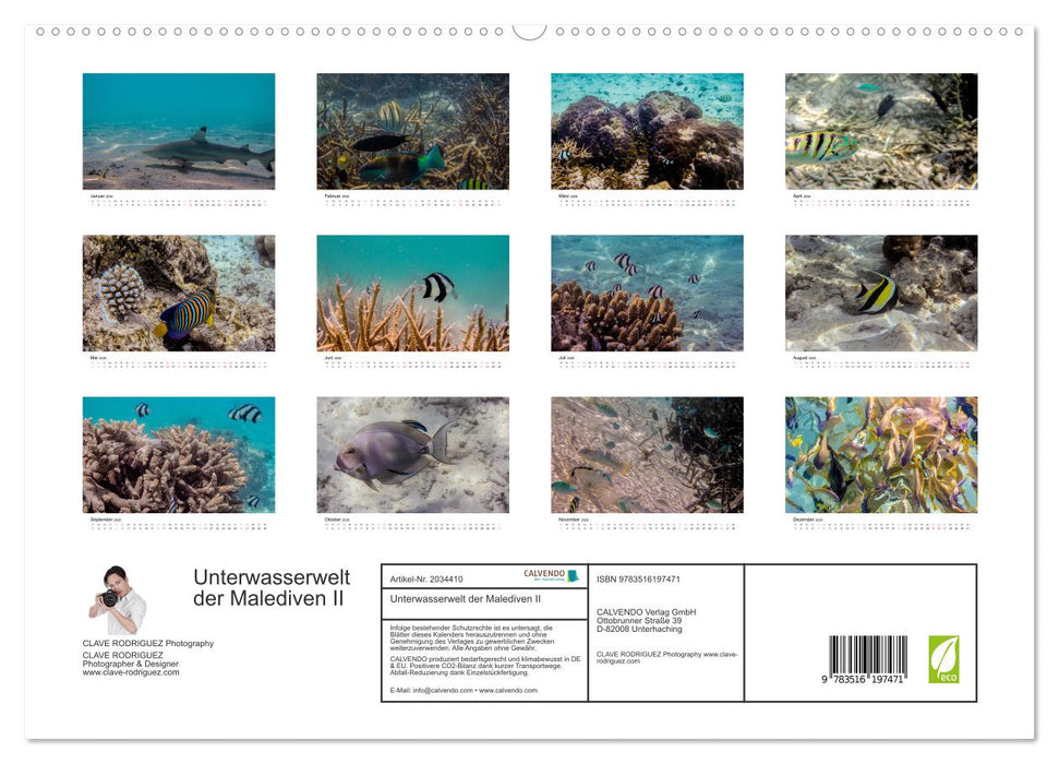 Unterwasserwelt der Malediven II (CALVENDO Premium Wandkalender 2026)
