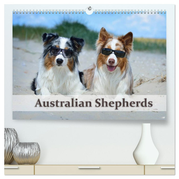 Wunderbare Australian Shepherds (CALVENDO Premium Wandkalender 2026)
