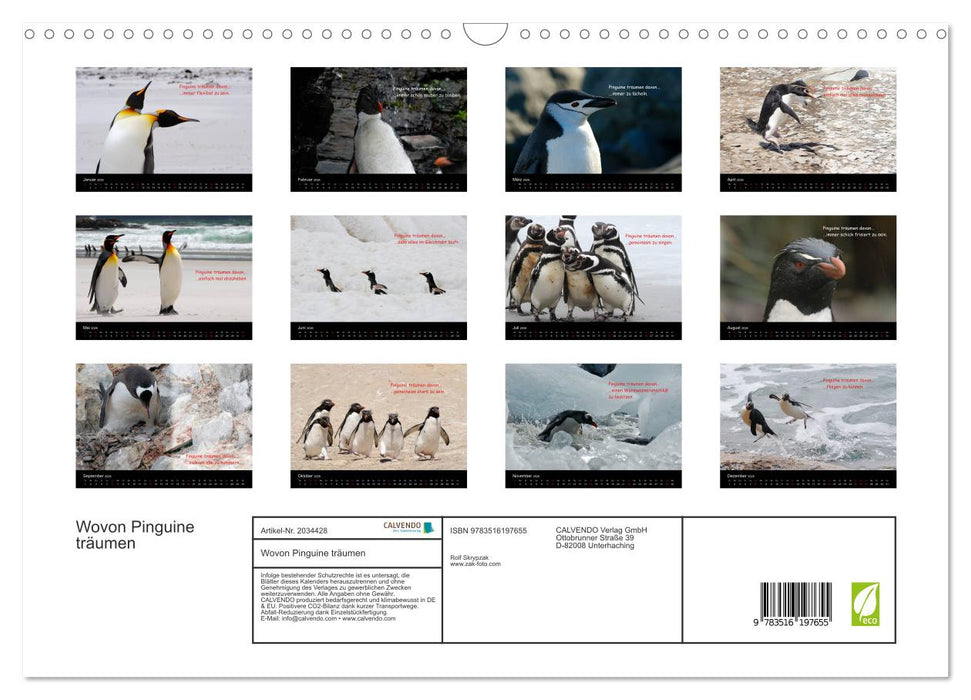 Wovon Pinguine träumen (CALVENDO Wandkalender 2026)