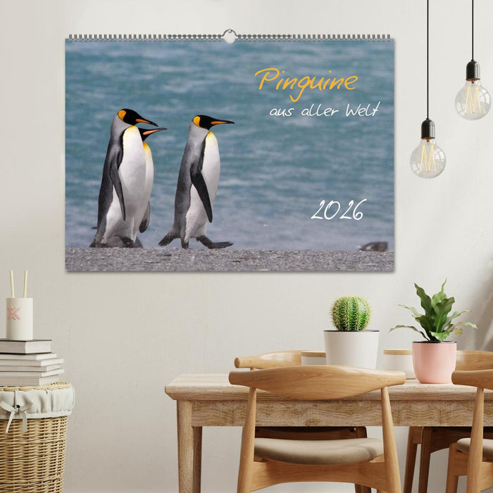Pinguine aus aller Welt (CALVENDO Wandkalender 2026)