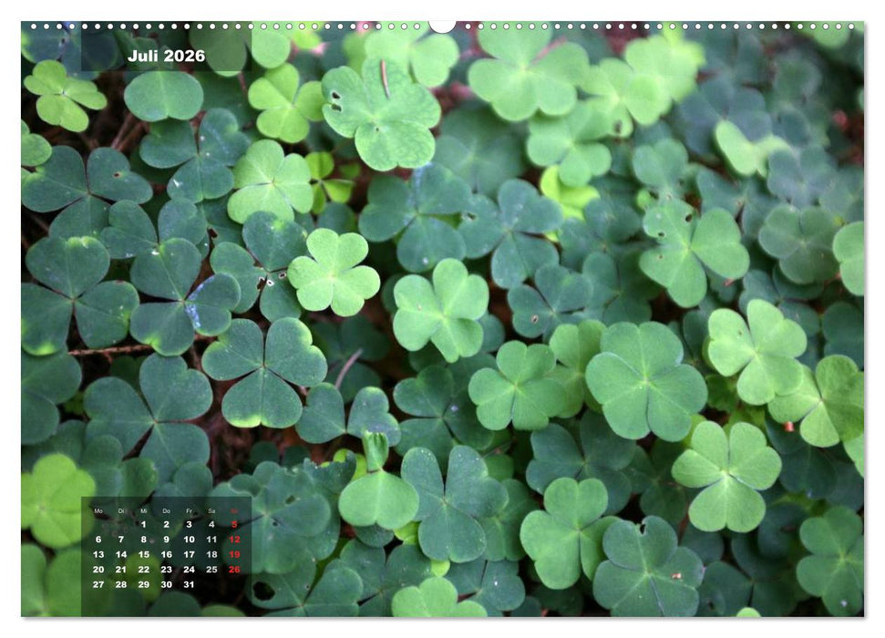 Glücksbringer (CALVENDO Premium Wandkalender 2026)