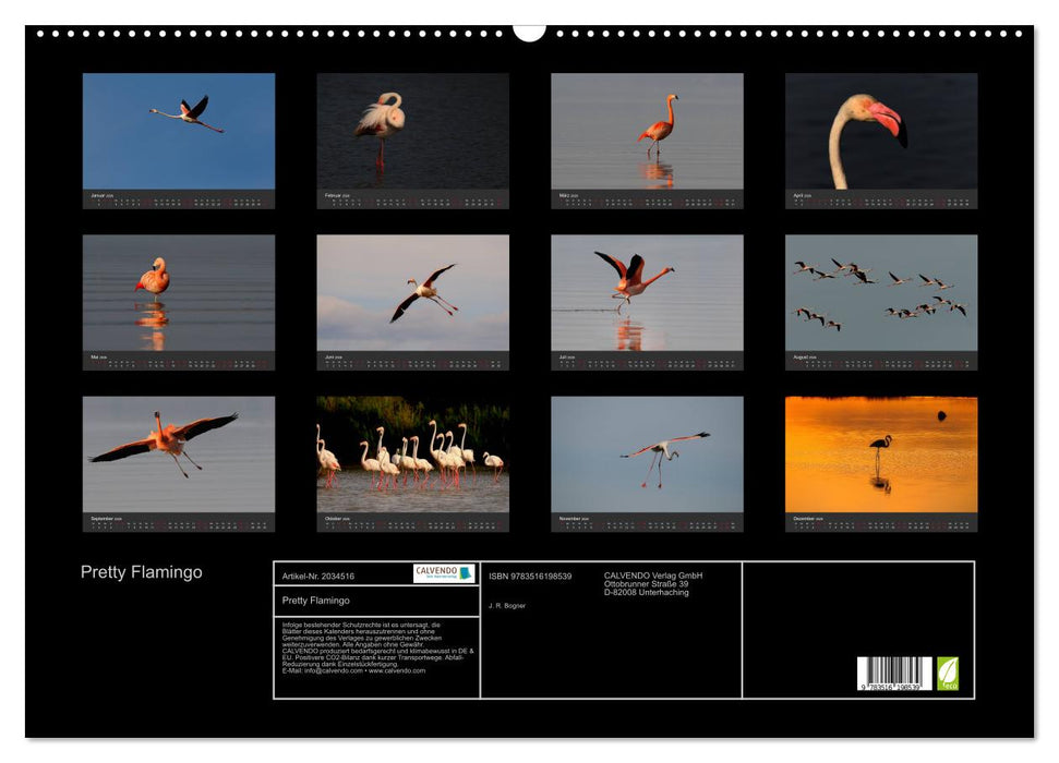 Pretty Flamingo (CALVENDO Wandkalender 2026)