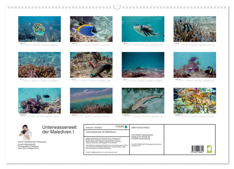 Unterwasserwelt der Malediven I (CALVENDO Wandkalender 2026)