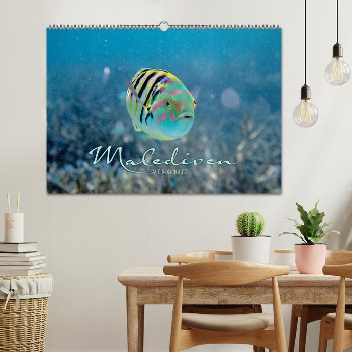 Unterwasserwelt der Malediven II (CALVENDO Wandkalender 2026)