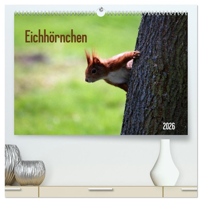 Eichhörnchen (CALVENDO Premium Wandkalender 2026)