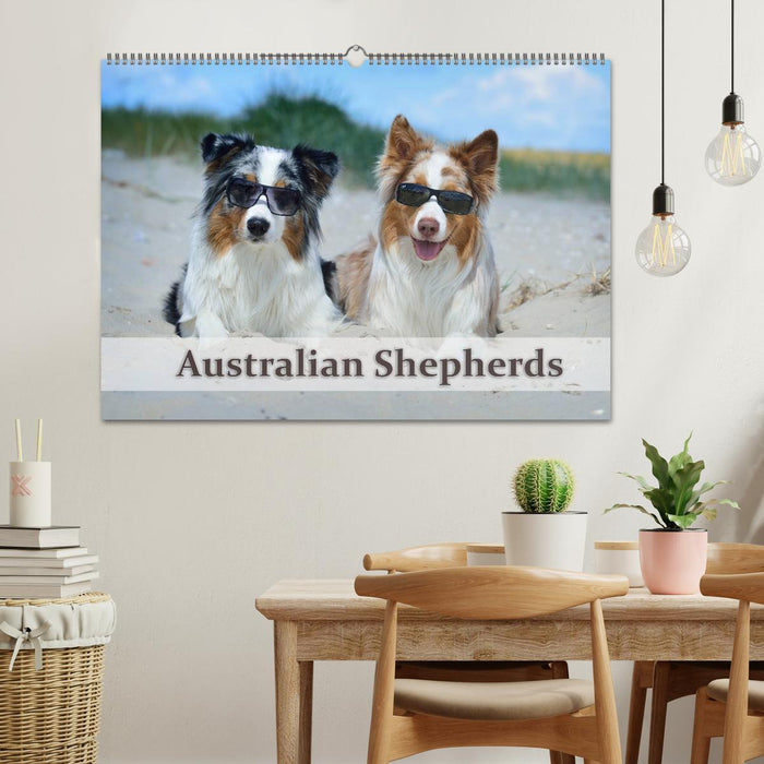 Wunderbare Australian Shepherds (CALVENDO Wandkalender 2026)