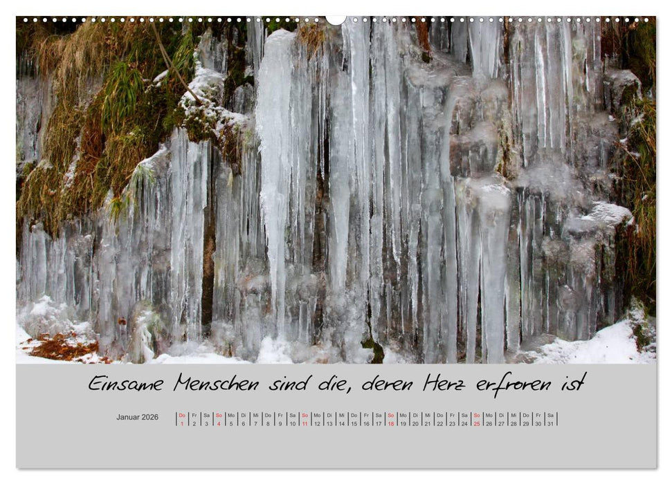 Kleine und große Wahrheiten - Sprüche zum Nachdenken (CALVENDO Premium Wandkalender 2026)