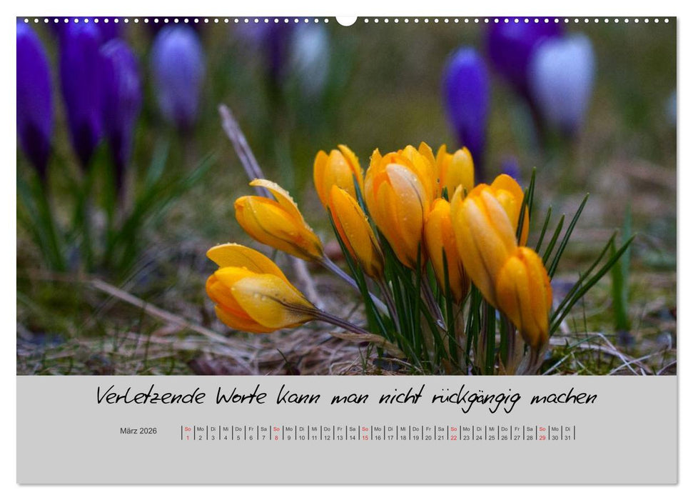 Kleine und große Wahrheiten - Sprüche zum Nachdenken (CALVENDO Premium Wandkalender 2026)