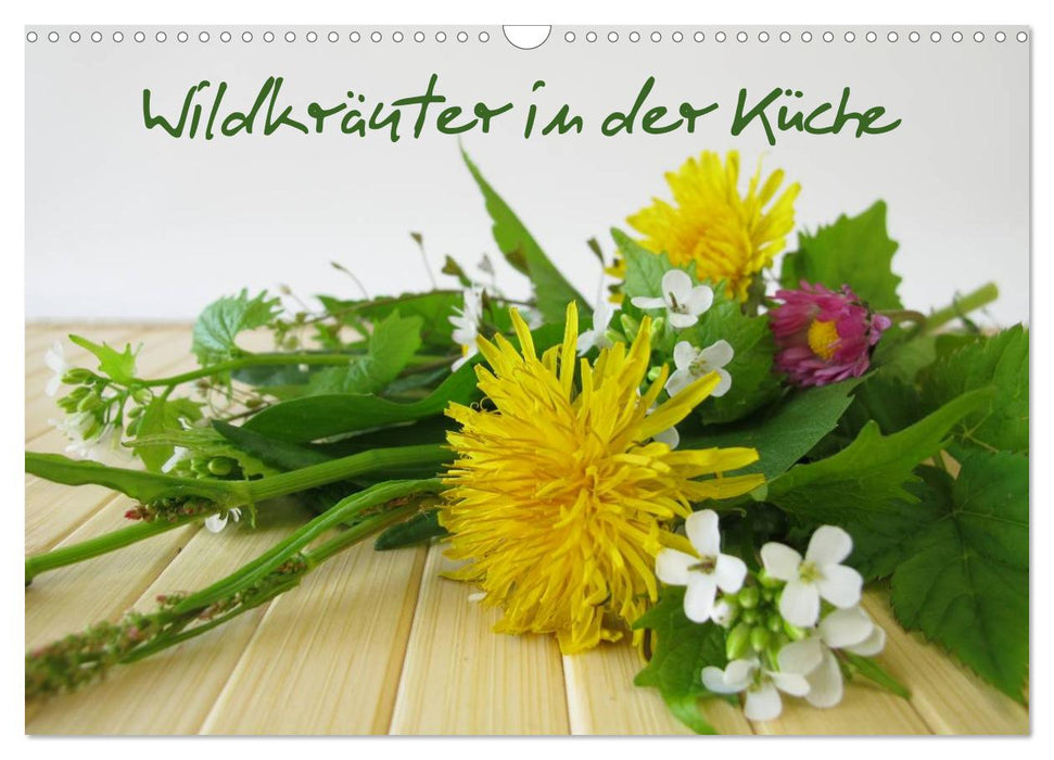 Wildkräuter in der Küche (CALVENDO Wandkalender 2026)