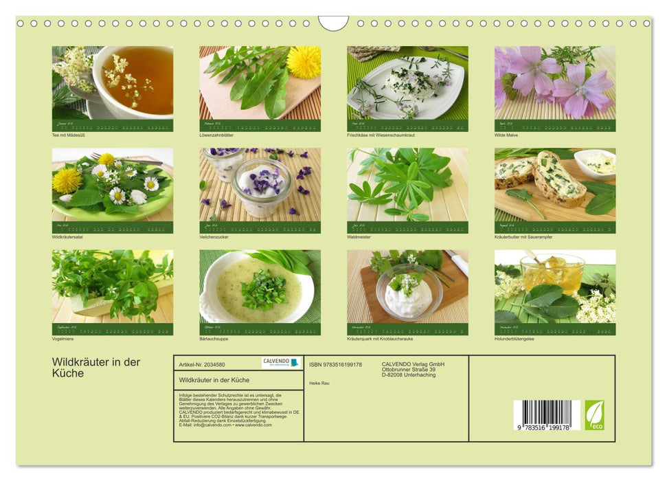 Wildkräuter in der Küche (CALVENDO Wandkalender 2026)