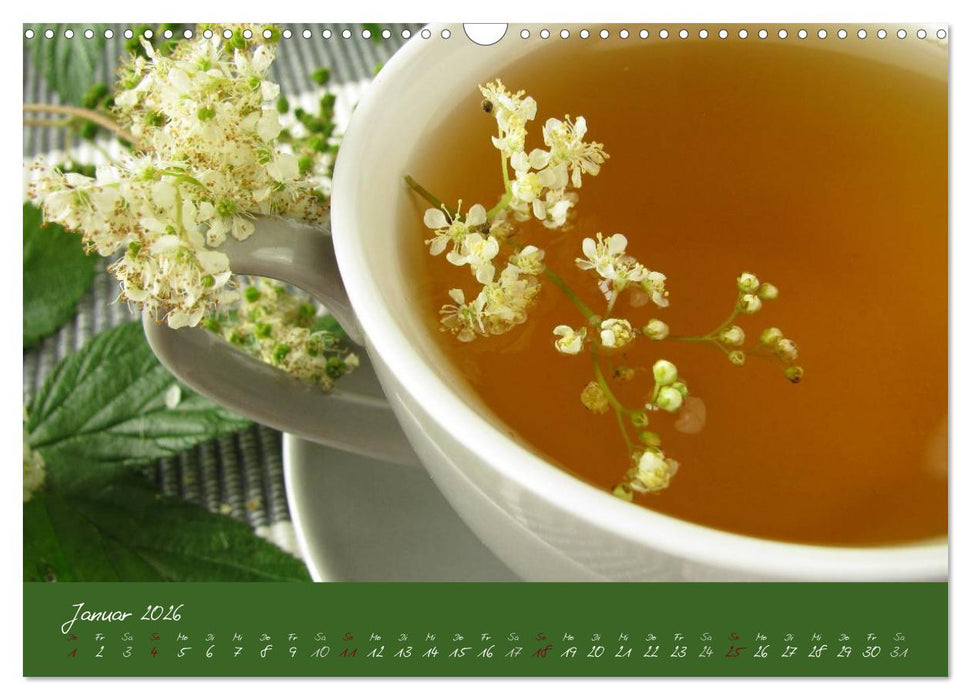 Wildkräuter in der Küche (CALVENDO Wandkalender 2026)