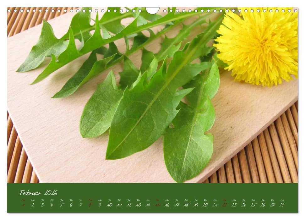 Wildkräuter in der Küche (CALVENDO Wandkalender 2026)
