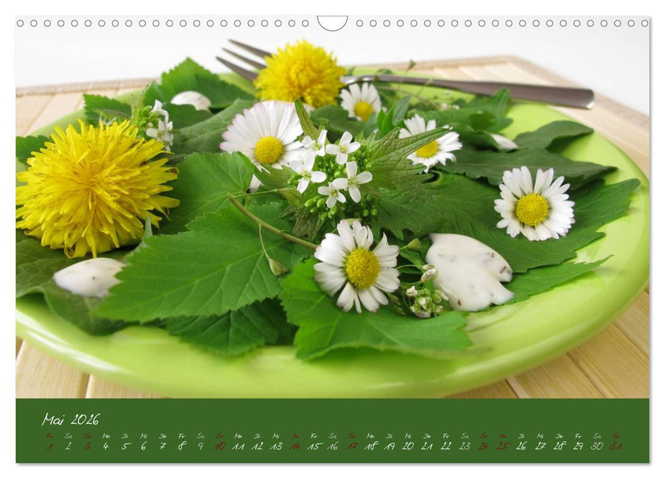 Wildkräuter in der Küche (CALVENDO Wandkalender 2026)