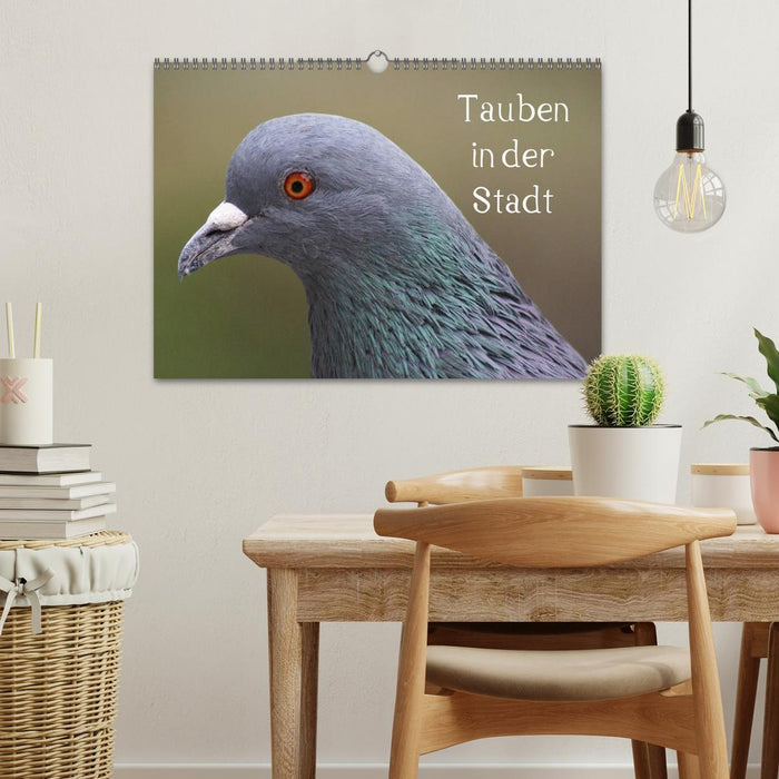 Tauben in der Stadt (CALVENDO Wandkalender 2026)