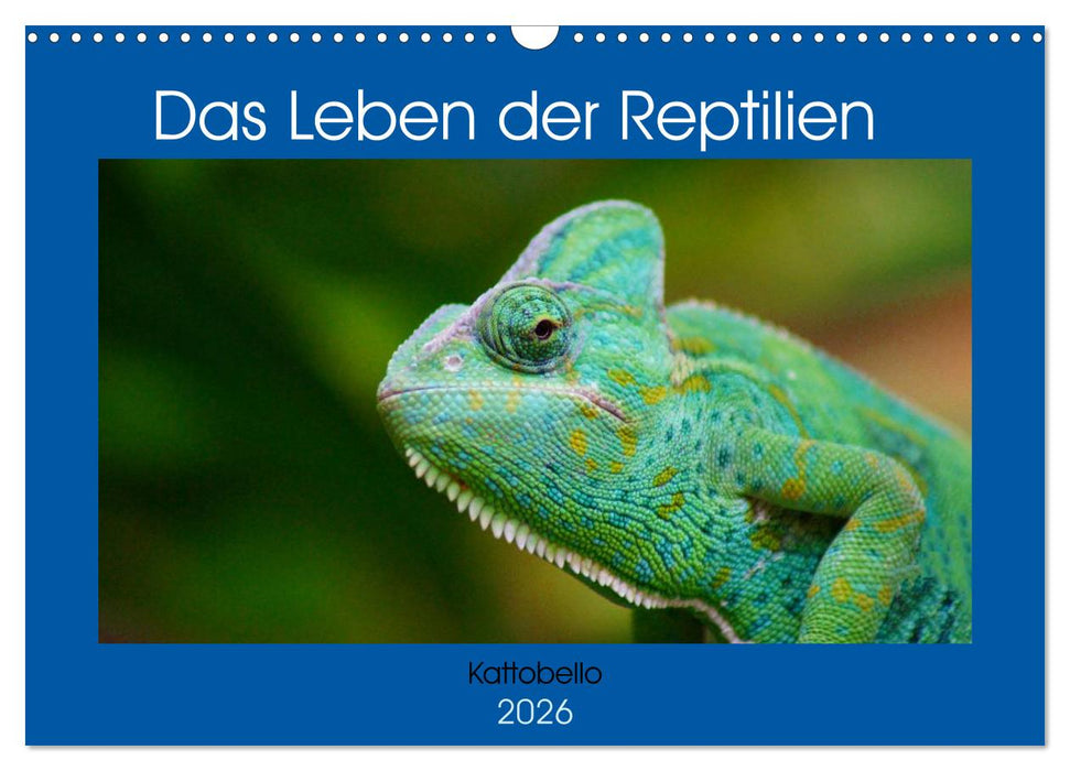 Das Leben der Reptilien (CALVENDO Wandkalender 2026)