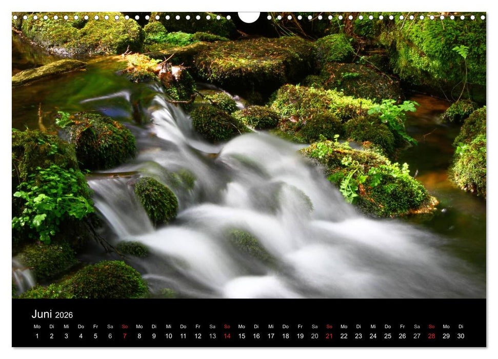 Geheimnisvolle Bäche und Flüsse (CALVENDO Wandkalender 2026)