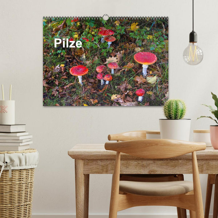Pilze (CALVENDO Wandkalender 2026)