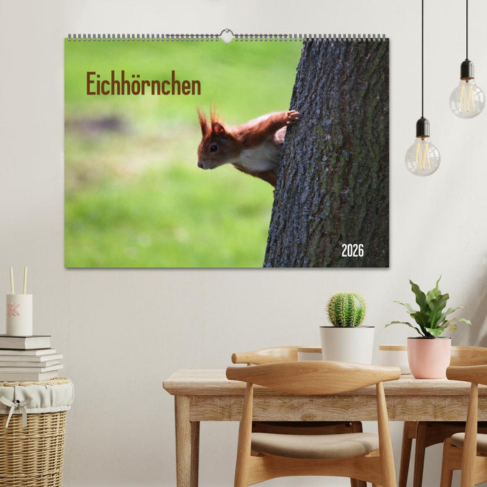 Eichhörnchen (CALVENDO Wandkalender 2026)