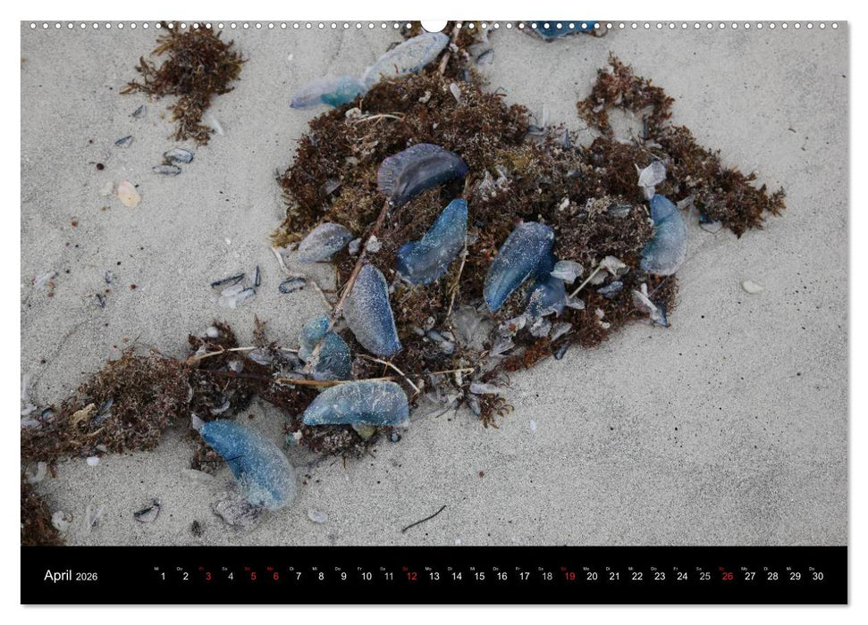 CUBA 2026 (CALVENDO Premium Wandkalender 2026)