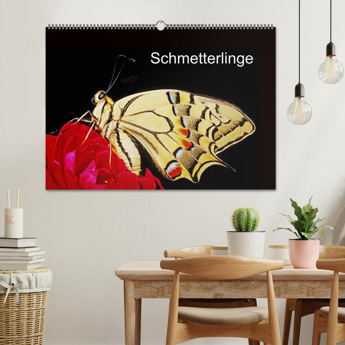 Schmetterlinge (CALVENDO Wandkalender 2026)