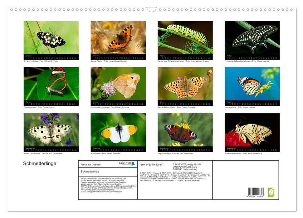 Schmetterlinge (CALVENDO Wandkalender 2026)