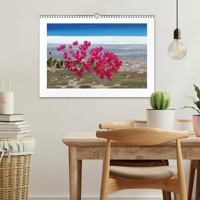 Fuerteventura (CALVENDO Wandkalender 2026)