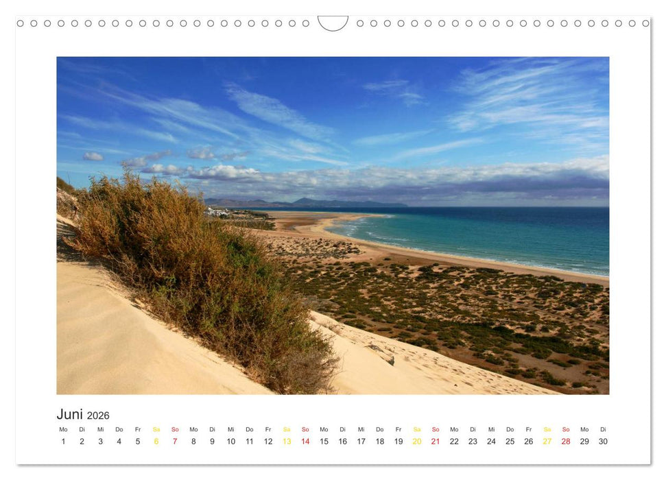 Fuerteventura (CALVENDO Wandkalender 2026)