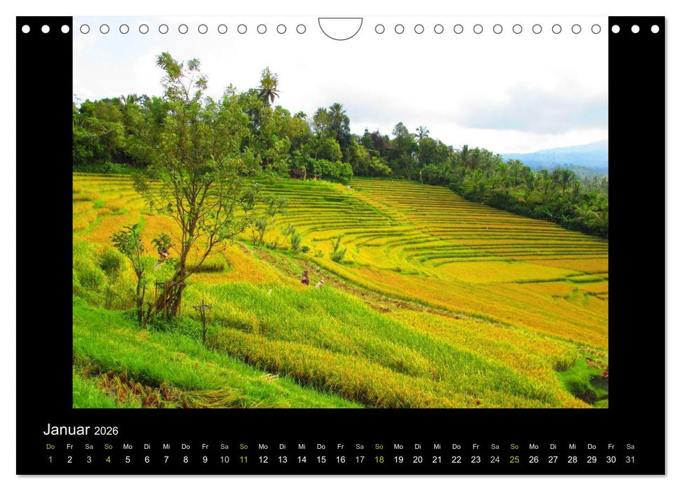 Bali (CALVENDO Wandkalender 2026)