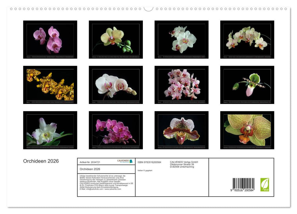 Orchideen 2026 (CALVENDO Premium Wandkalender 2026)