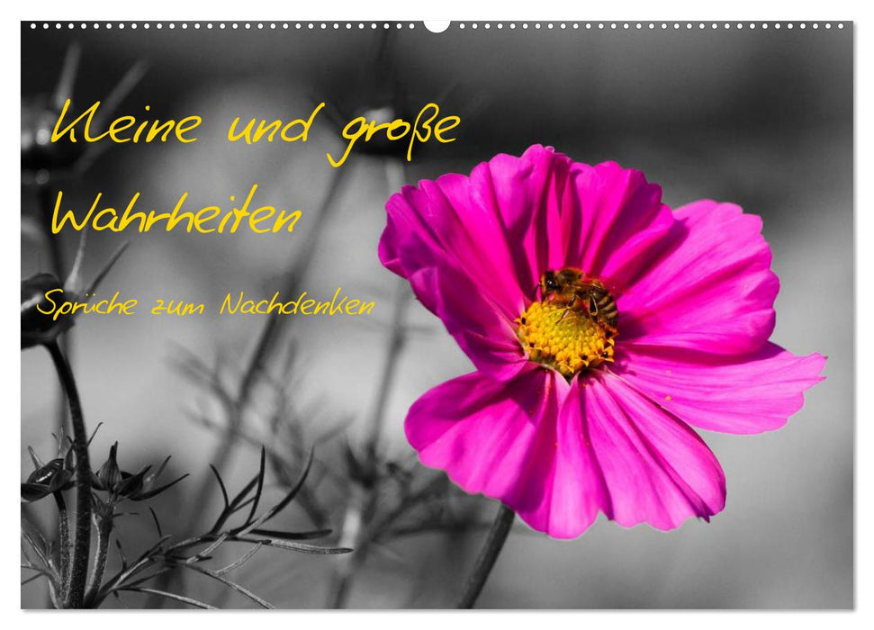 Kleine und große Wahrheiten - Sprüche zum Nachdenken (CALVENDO Wandkalender 2026)