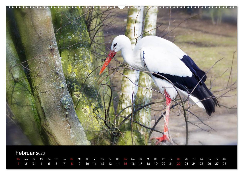 Welt der Tiere (CALVENDO Premium Wandkalender 2026)