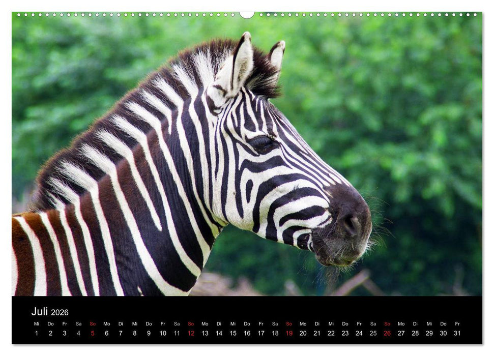 Welt der Tiere (CALVENDO Premium Wandkalender 2026)