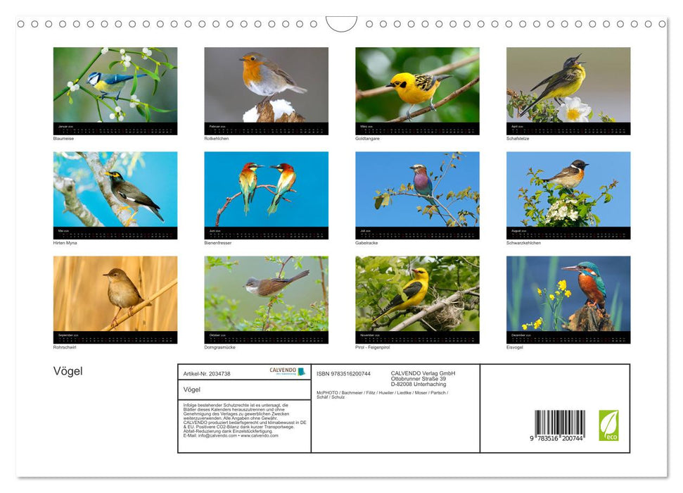 Vögel (CALVENDO Wandkalender 2026)