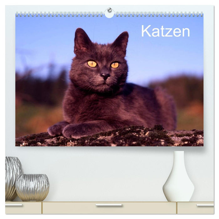 Katzen (CALVENDO Premium Wandkalender 2026)