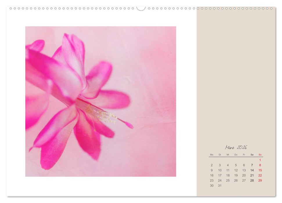 Blütenträume (CALVENDO Premium Wandkalender 2026)