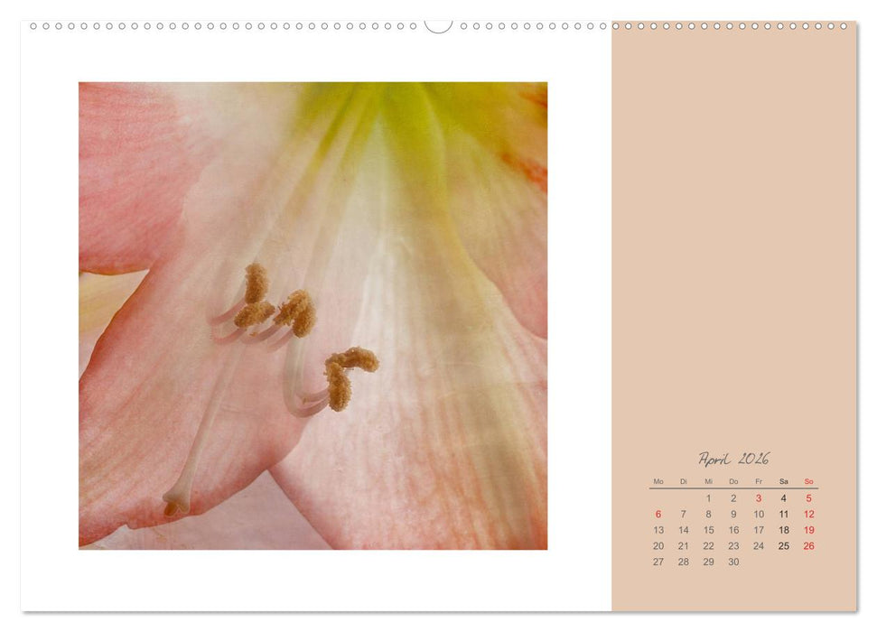 Blütenträume (CALVENDO Premium Wandkalender 2026)