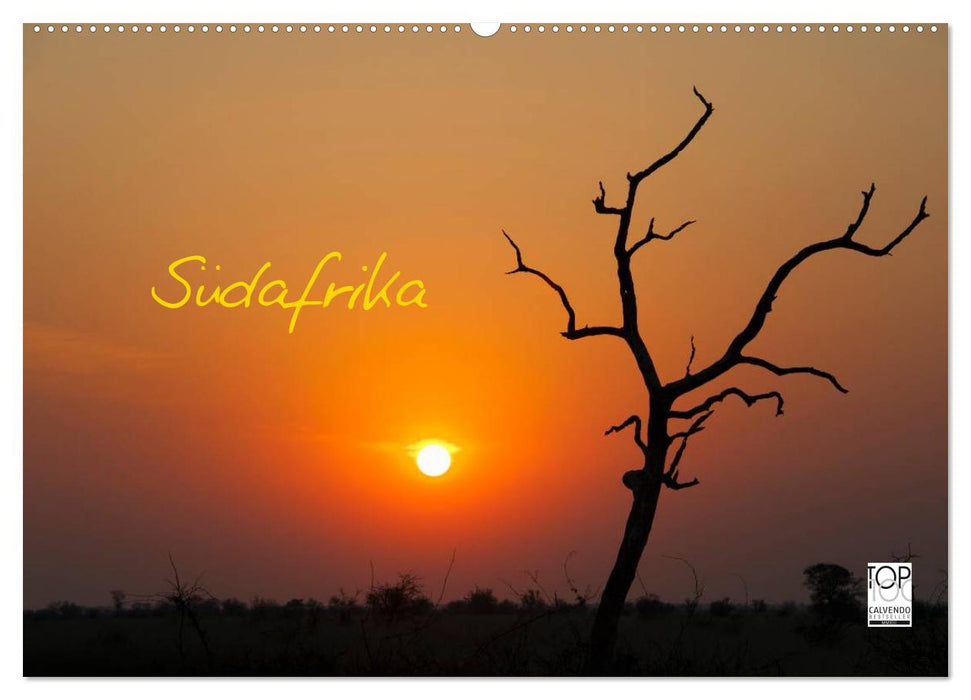 Südafrika (CALVENDO Wandkalender 2026)