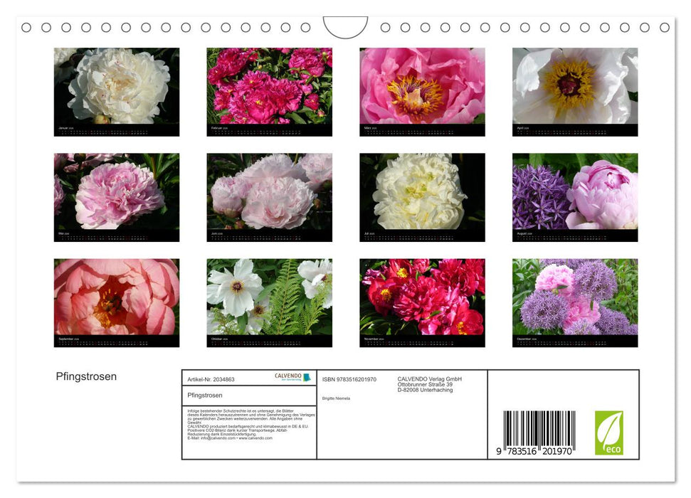 Pfingstrosen (CALVENDO Wandkalender 2026)