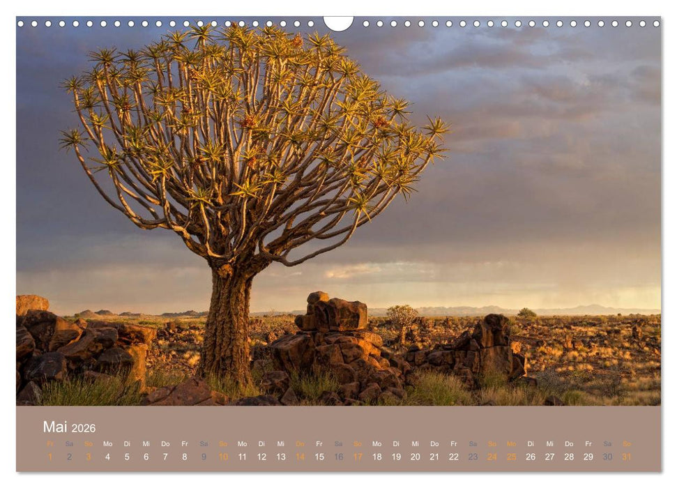 What a wonderful world (CALVENDO Wandkalender 2026)