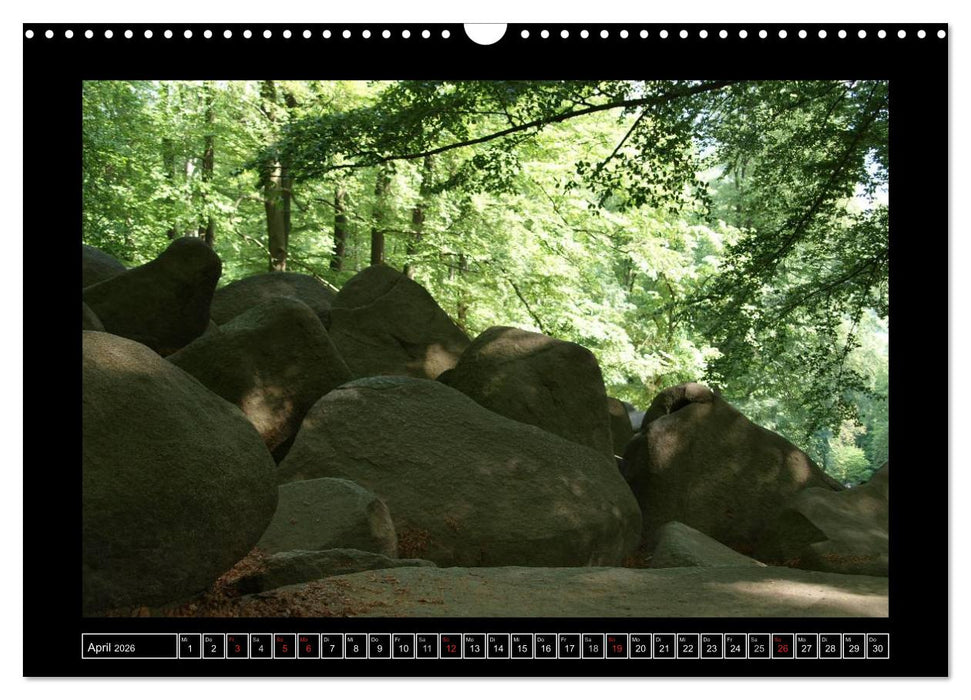 Odenwald - Landschaft sehen (CALVENDO Wandkalender 2026)