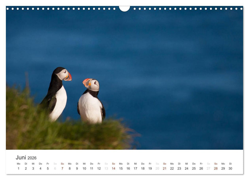 ISLAND 63° - 66° N / 13° - 25° W (CALVENDO Wandkalender 2026)