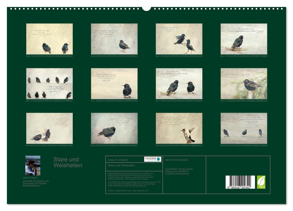 Stare und Weisheiten (CALVENDO Premium Wandkalender 2026)