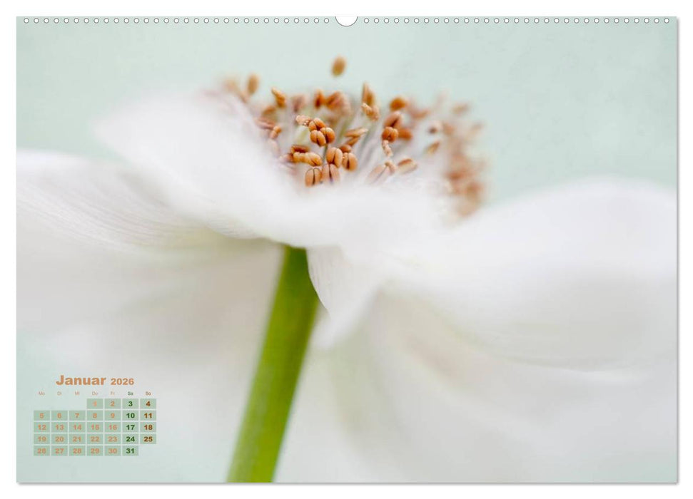 Zauberhafte Blüten (CALVENDO Premium Wandkalender 2026)