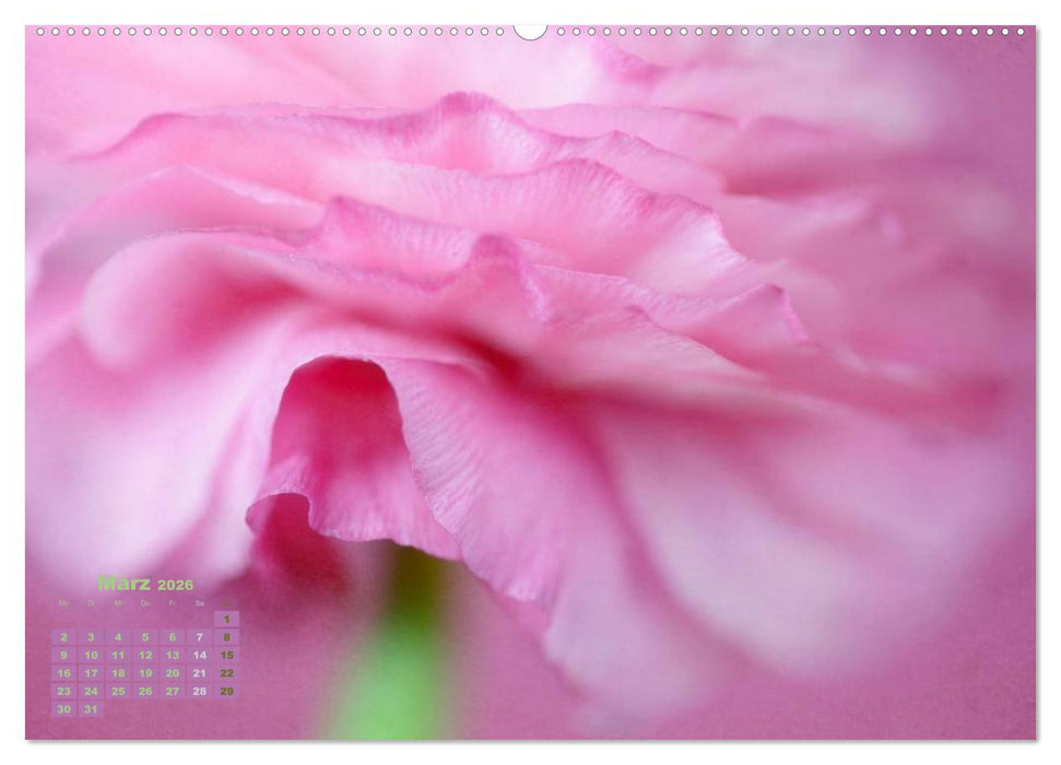 Zauberhafte Blüten (CALVENDO Premium Wandkalender 2026)