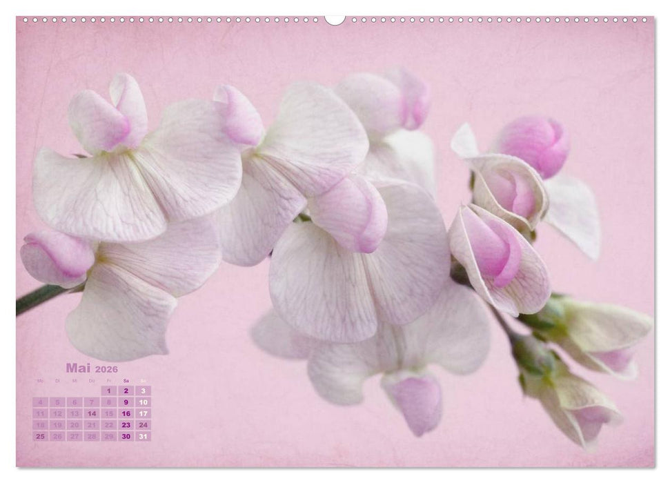 Zauberhafte Blüten (CALVENDO Premium Wandkalender 2026)