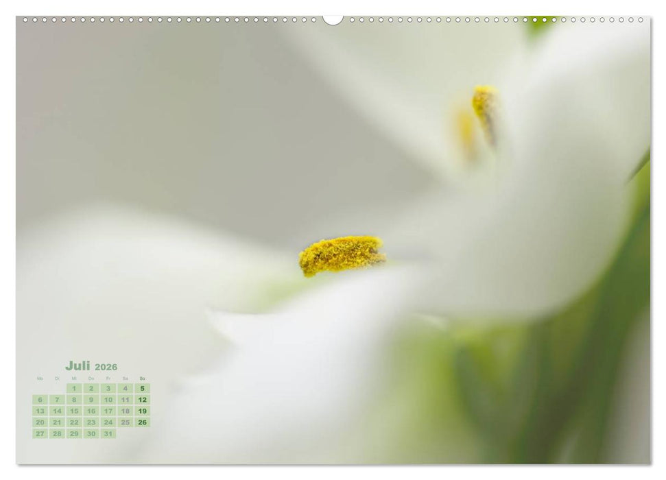 Zauberhafte Blüten (CALVENDO Premium Wandkalender 2026)