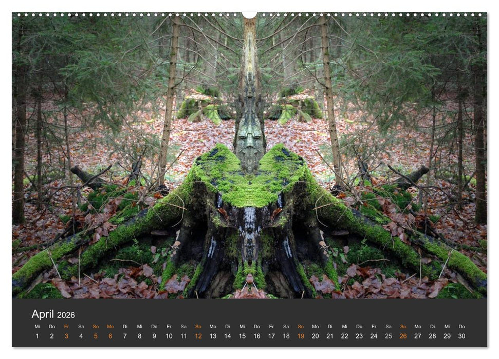 Spiegelwelten - Im Reich der Naturwesen (CALVENDO Premium Wandkalender 2026)