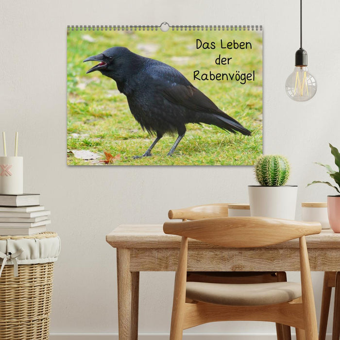 Das Leben der Rabenvögel (CALVENDO Wandkalender 2026)