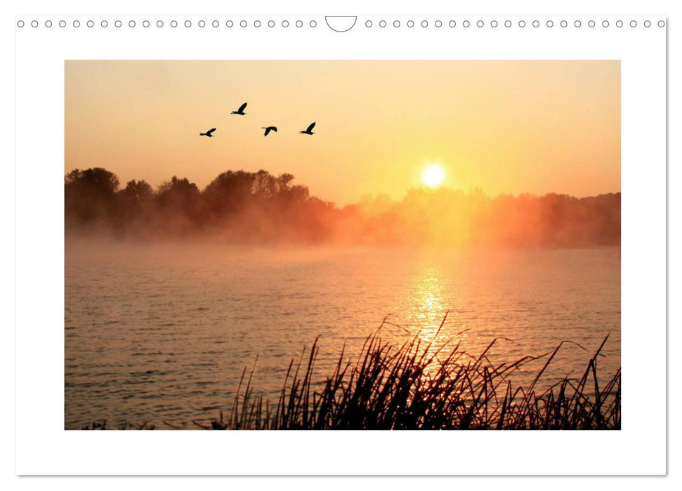 Das Weserbergland (CALVENDO Wandkalender 2026)